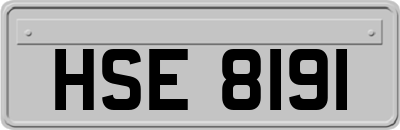 HSE8191