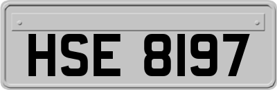 HSE8197