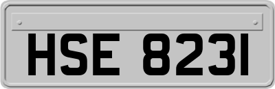 HSE8231
