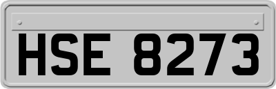 HSE8273