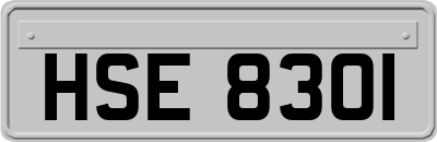 HSE8301