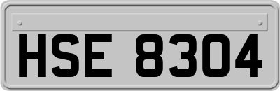 HSE8304