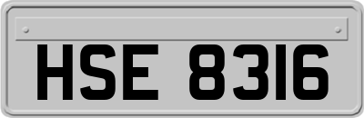 HSE8316