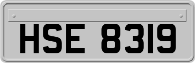 HSE8319