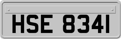 HSE8341