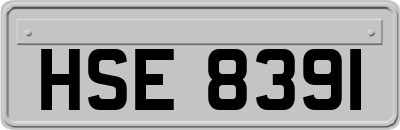 HSE8391