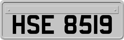 HSE8519