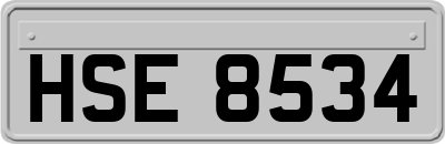 HSE8534