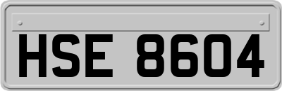 HSE8604