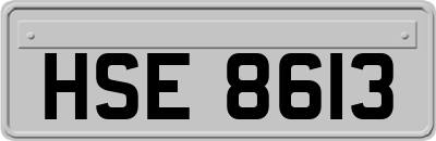 HSE8613