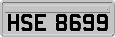 HSE8699