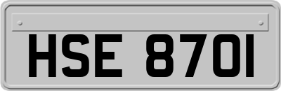 HSE8701
