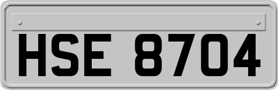 HSE8704