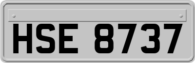 HSE8737
