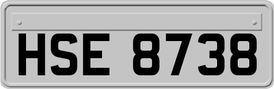 HSE8738