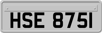 HSE8751