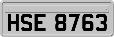 HSE8763
