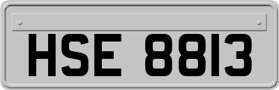 HSE8813