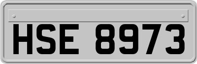 HSE8973