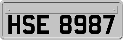 HSE8987