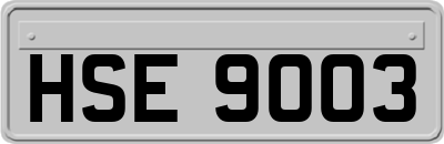 HSE9003