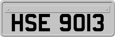 HSE9013