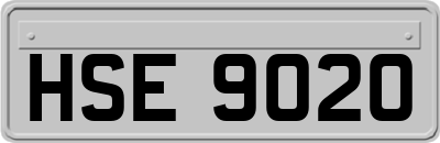 HSE9020