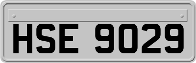 HSE9029