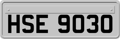 HSE9030