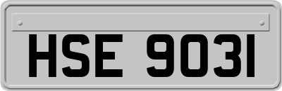HSE9031