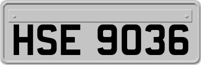HSE9036