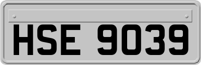HSE9039
