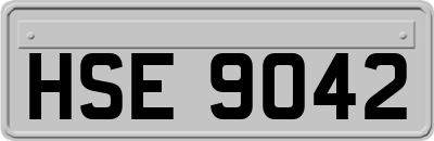 HSE9042