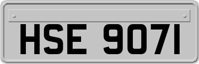 HSE9071
