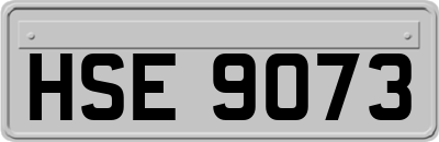 HSE9073