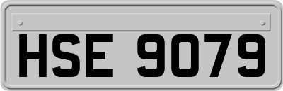 HSE9079