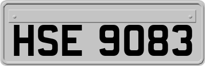 HSE9083