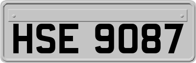 HSE9087