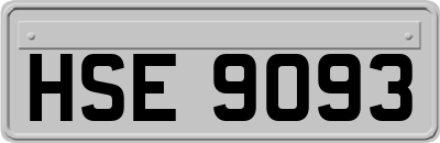 HSE9093