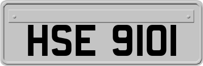 HSE9101