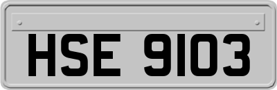 HSE9103