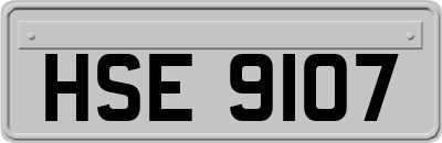 HSE9107