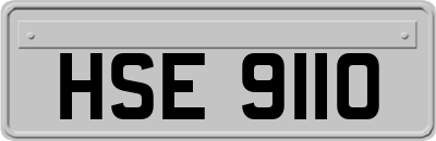 HSE9110