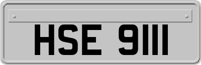 HSE9111