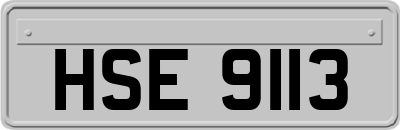 HSE9113