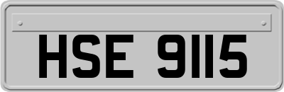 HSE9115