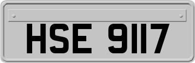 HSE9117