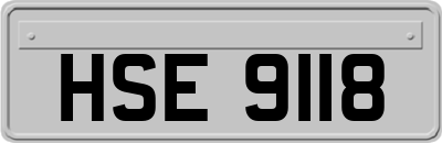 HSE9118