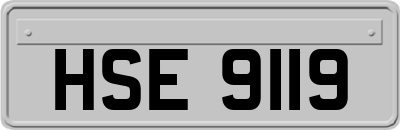 HSE9119