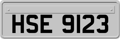 HSE9123